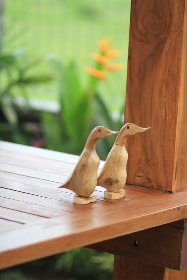 Saia Ubud (Bali)