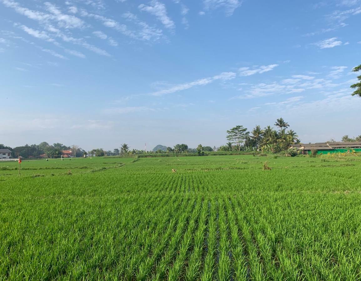 Saia Ubud (Bali)